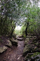 Narbonne - avril 2015